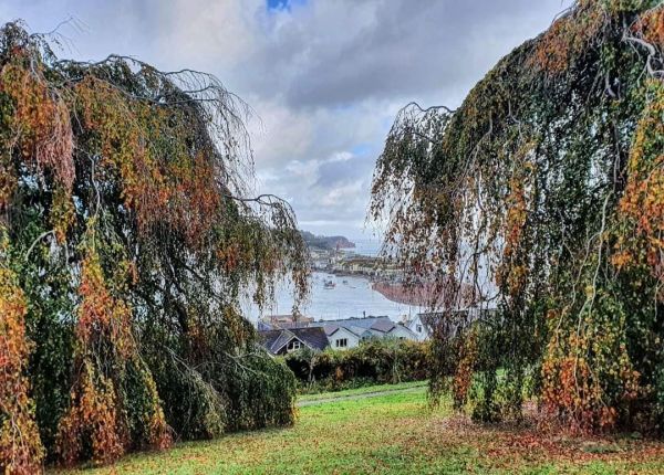 photo of Homeyards botanical Gardens in Shaldon